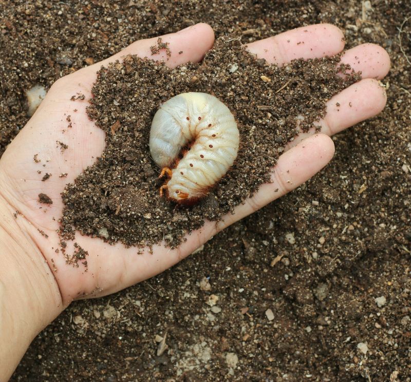 Ventura County, CA