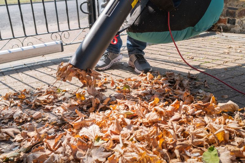 Fall Leaf Cleanup Equipment