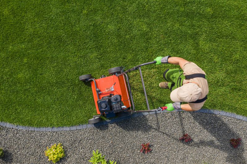 Overgrown Lawn Trimming in Bowie, MD