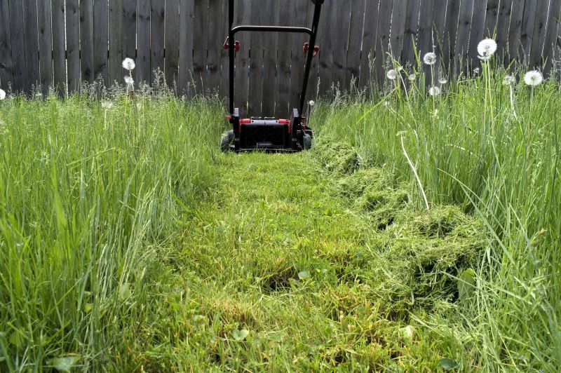 Yard Mowing in Bowie, MD