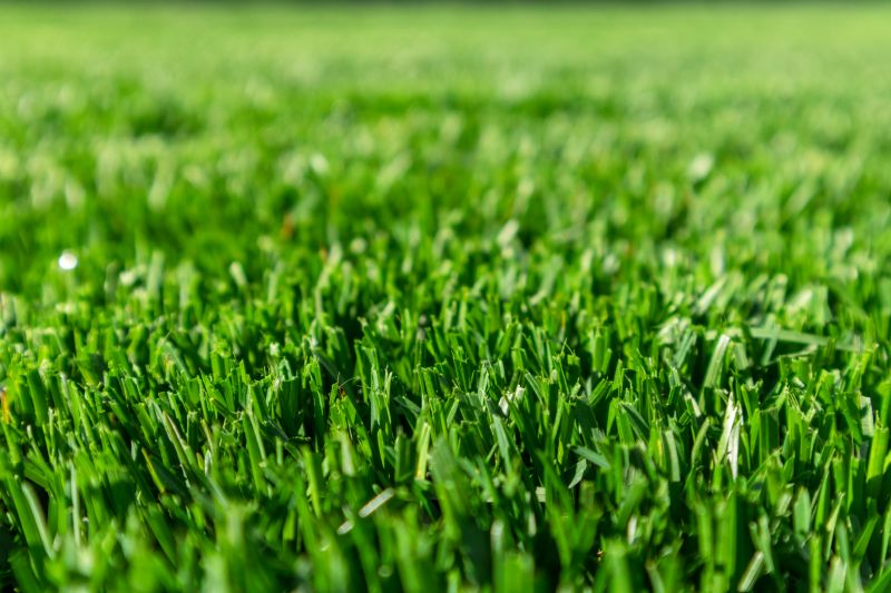 Prevent Pest Infestations